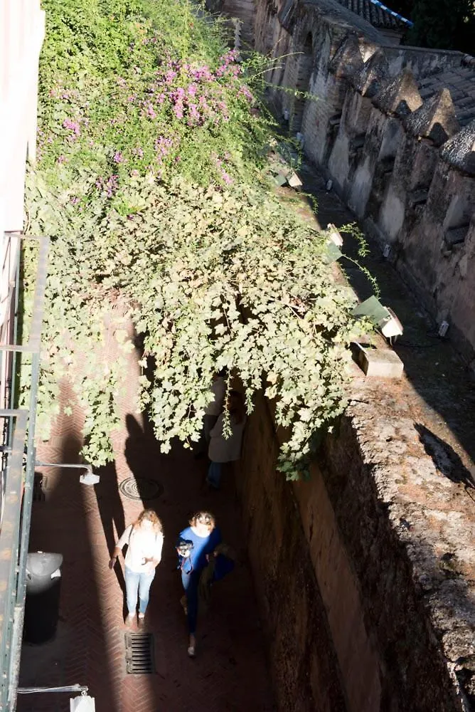 Apartamento Casa Callejon Del Agua Seville